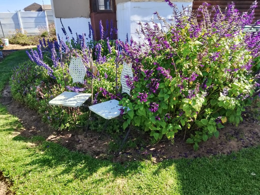 4 Bedroom Property for Sale in Lamberts Bay Western Cape